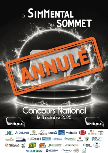 Actualité