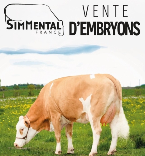 Actualité