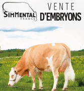 Actualité