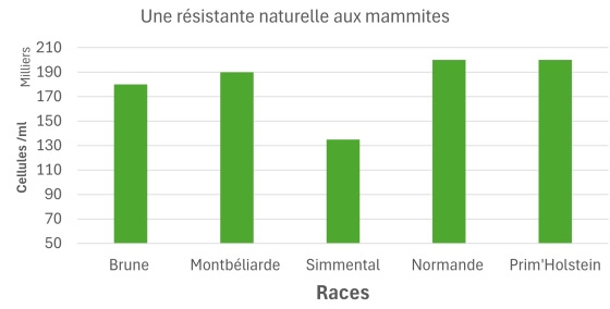 Agrandir l'image